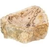 Baliv Aufsatzwaschbecken Versteinertes Holz Ø Ca. 40 Cm 2 Baliv Aufsatzwaschbecken Versteinertes Holz Ø Ca. 40 Cm -Badezimmergeschäft 4007871039890 S01 130720