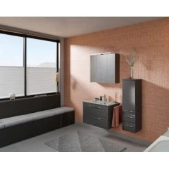 Pelipal Midischrank 30 Cm Trentino Anthrazit Hochglanz -Badezimmergeschäft 4017026107619 2467 03