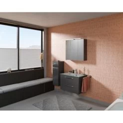 Pelipal Highboard 30 Cm Trentino Anthrazit Hochglanz -Badezimmergeschäft 4017026108388 2467 03