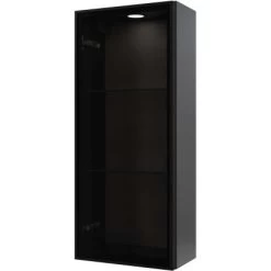 Pelipal Vitrinen-Wandschrank Quantum 05 Anthrazit Seidenglanz 30 Cm